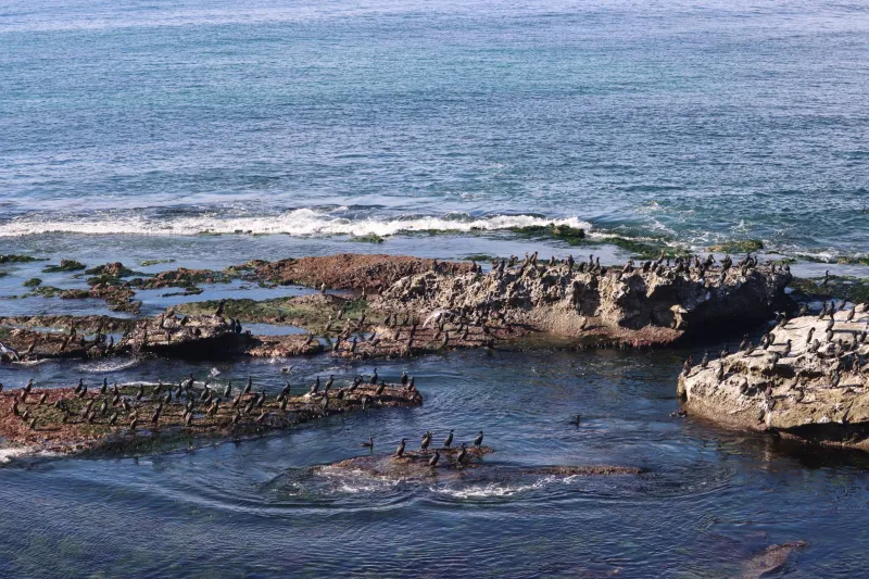 Lace Up: The Coastal Walks That Start at Sunset Cliffs and Keep Going