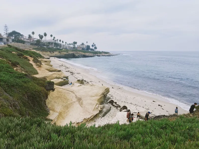 How San Diego Locals Actually Experience Sunset Cliffs (And Why It's Nothing Like What You See Online)