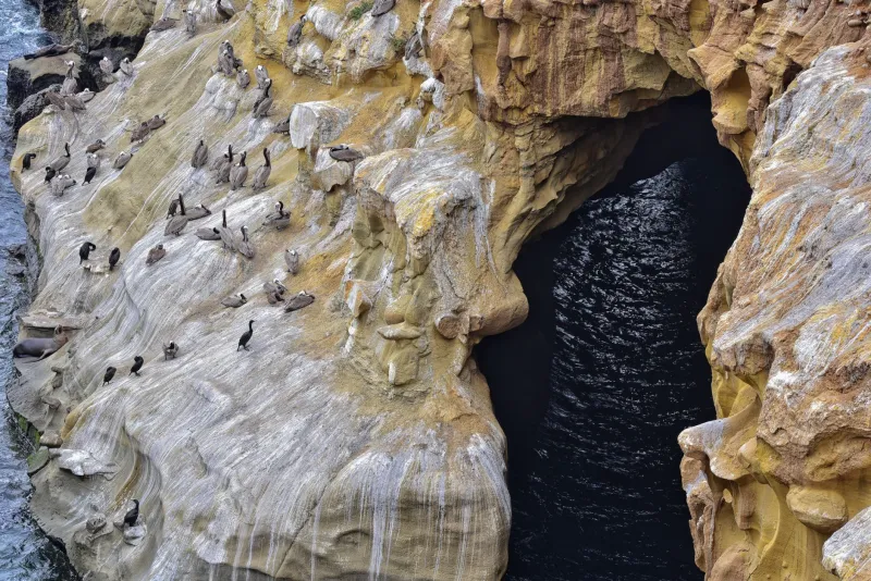 The Names, the Legends, and the Lives Written Into Sunset Cliffs' Stone