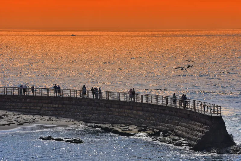 From Hidden Gem to Hashtag: How Sunset Cliffs Conquered the Internet